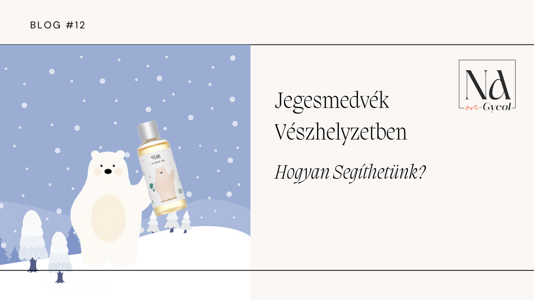 Jegesmedvék Vészhelyzetben: Hogyan Segíthetünk?